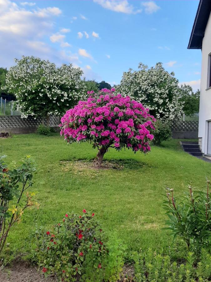 Ferienwohnung Fuelbier Oberzissen Eksteriør bilde